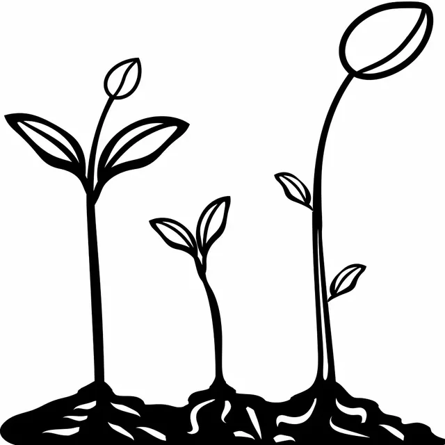 Simple Seed Growth Outline